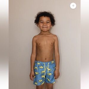 Taylor Joelle/ Rosie Beach Swimwear Boy’s Dino Shorts